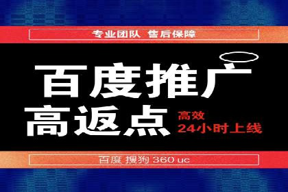 百度竞价与搜索引擎优化（SEO）的协同效应案例